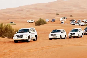 Desert Safari